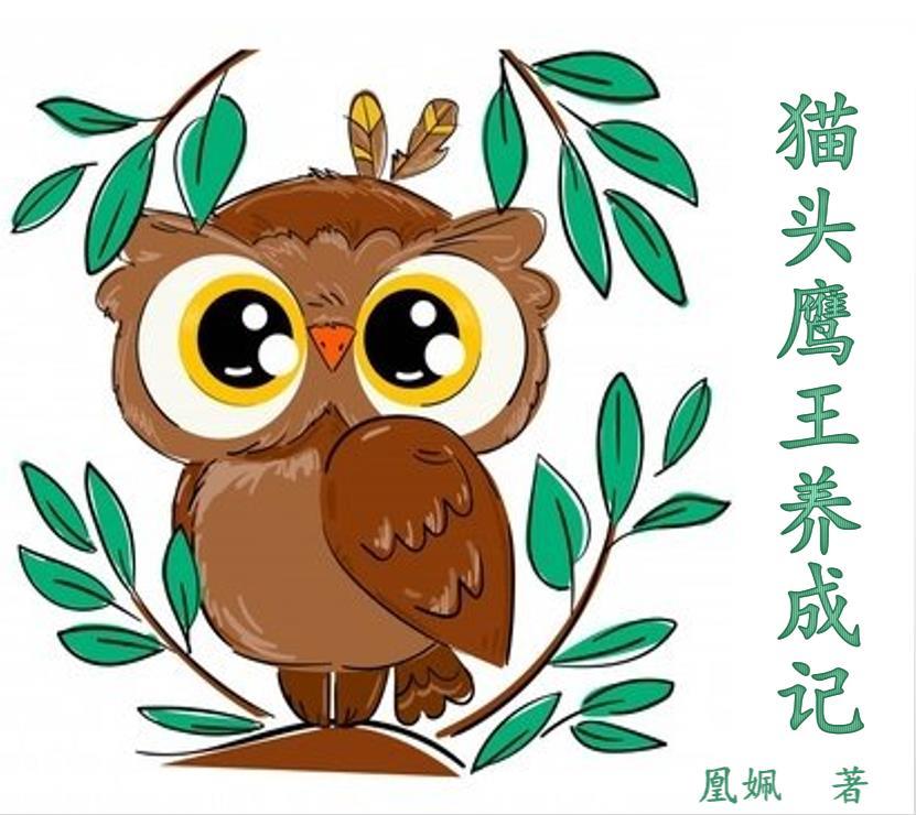 猫头鹰王国完整版免费观看中文版